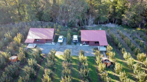 Entreavellanos cabañas, Melipeuco